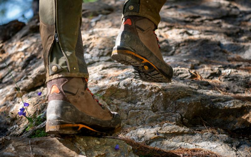 Dark Brown Crispi WASATCH GTX Men's Hunting Boots | 846880